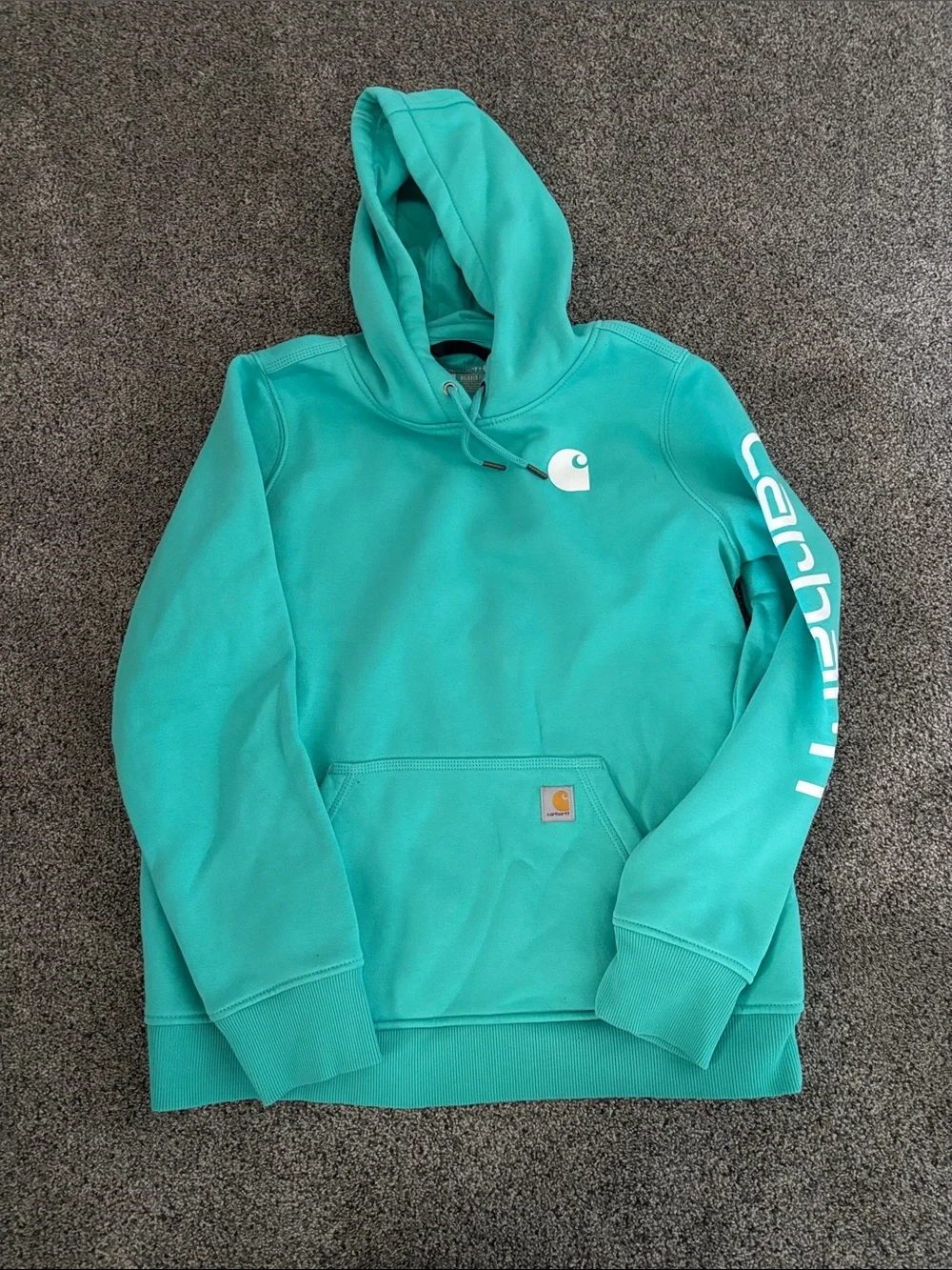 Carhartt Teal Green Pullover Hoodie with Sleeve Script - Picture 1 of 6